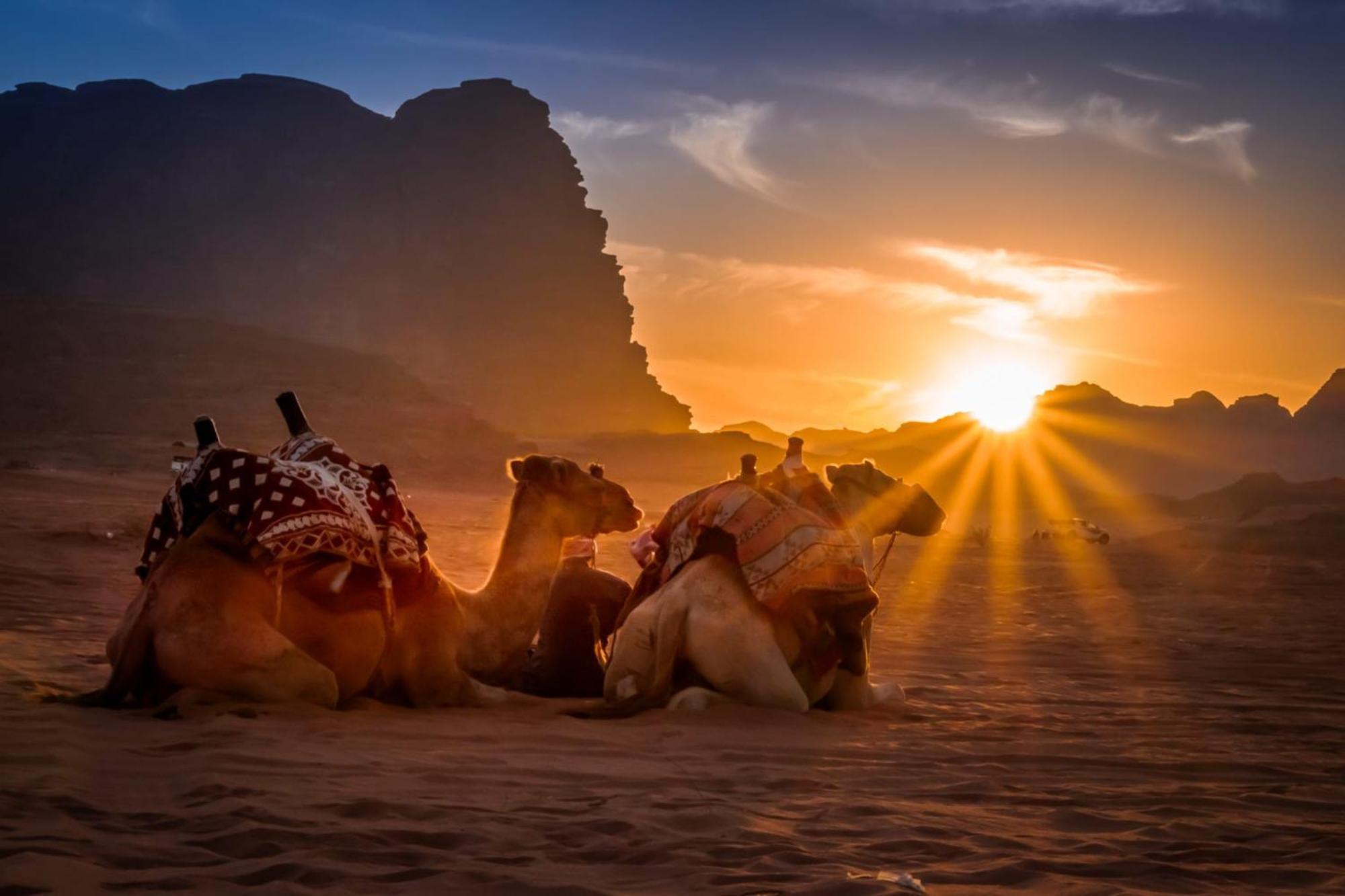Wadi Rum Mundo Camp Aqaba Bagian luar foto