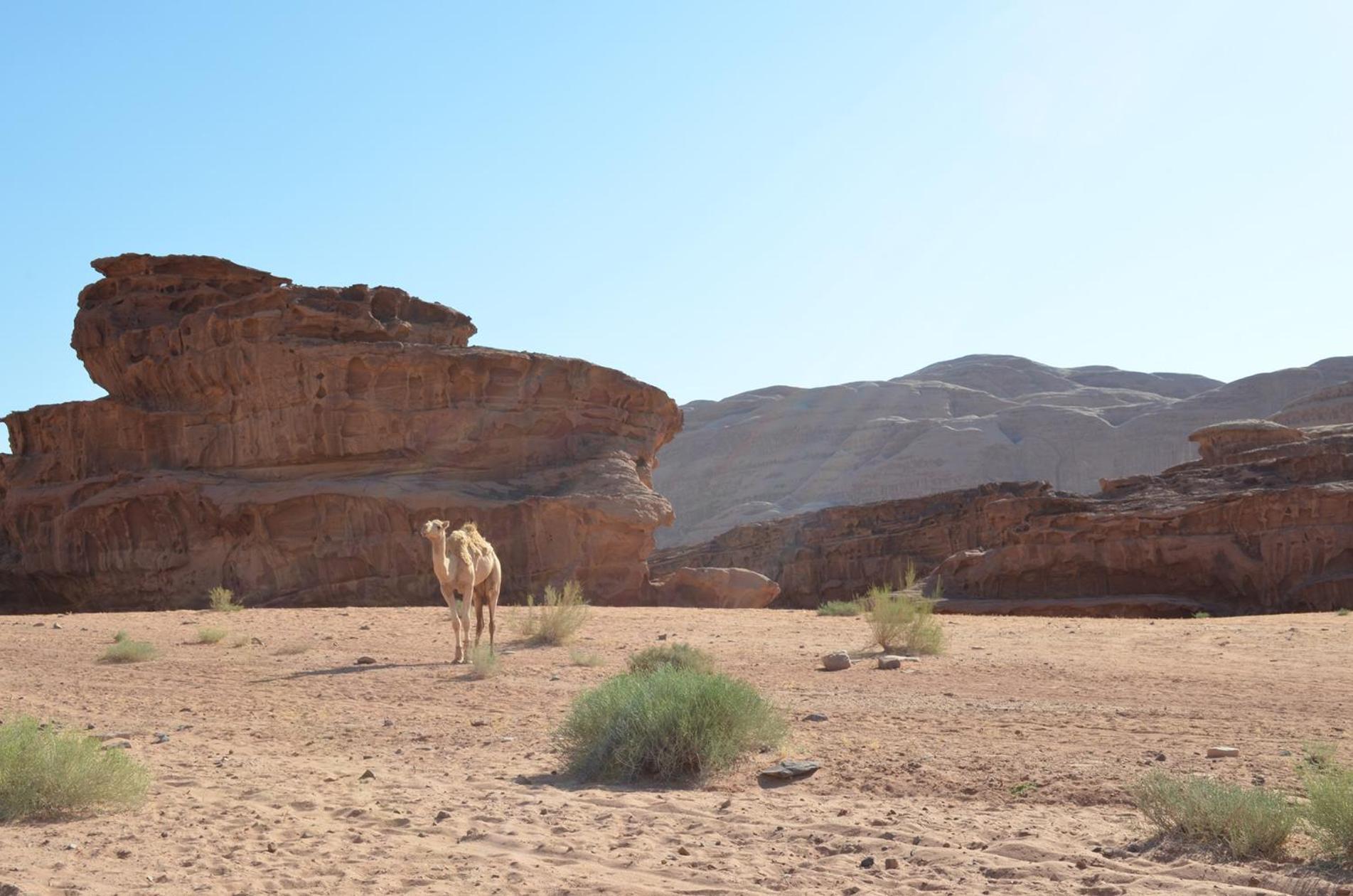Wadi Rum Mundo Camp Aqaba Bagian luar foto